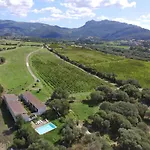 Oliviola By Interhome Santa Maria