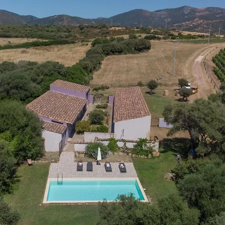 Oliviola By Interhome Santa Maria