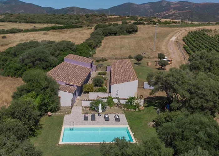 Oliviola By Interhome Santa Maria